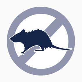 Pest Control in Drains